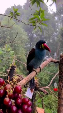 С добрым утром, Мариуполь!