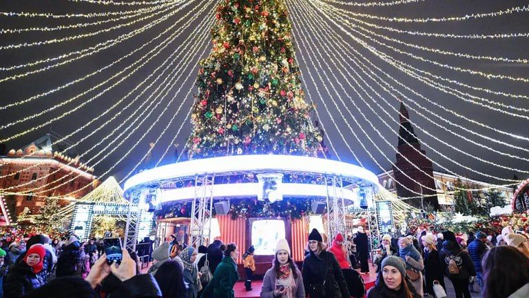 Треть россиян запланировали провести новогодние каникулы дома