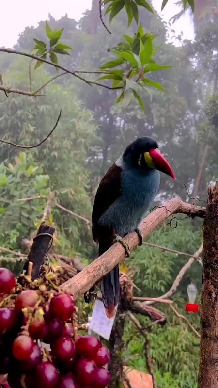 С добрым утром, Мариуполь!
