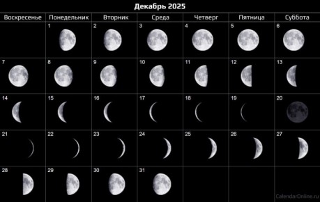 Лунный календарь на 8 - 14 декабря: что можно делать?