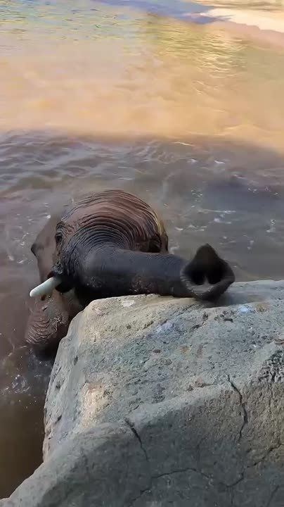 � ������ �����, ���������!