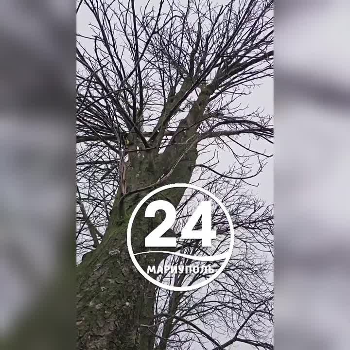 � ��������� ���� ����� ����� ������ ����!