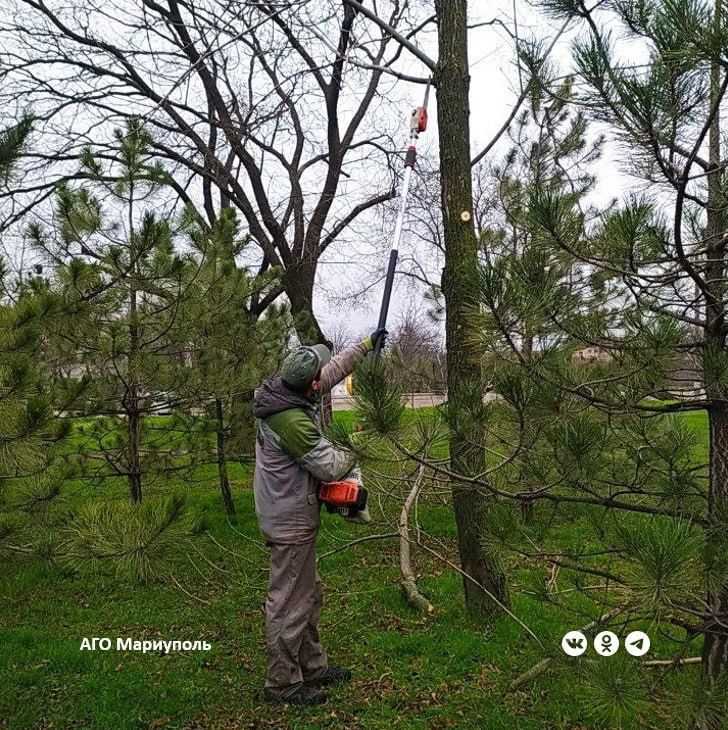 � ��������� ������� �������� ������������� ���������� ��������������� ������������ �����������