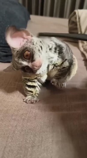 С добрым утром, Мариуполь!