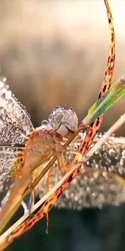 С добрым утром, Мариуполь!