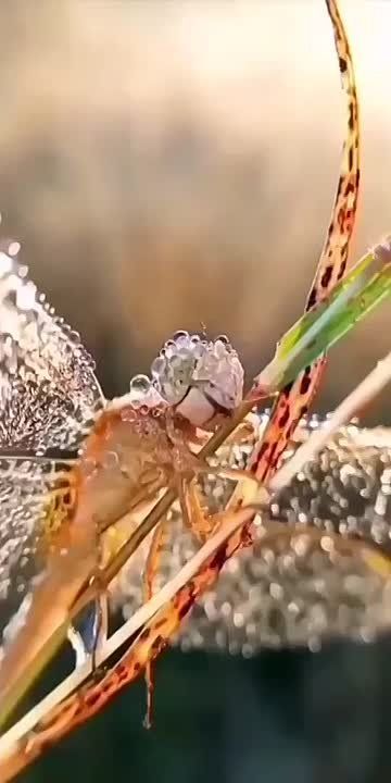 � ������ �����, ���������!