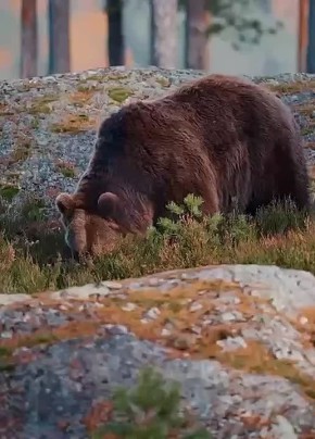 Спокойной ночи, Мариуполь!