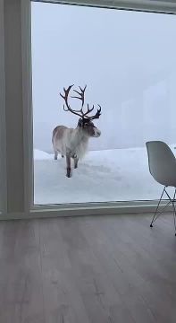 Спокойной ночи, Мариуполь!