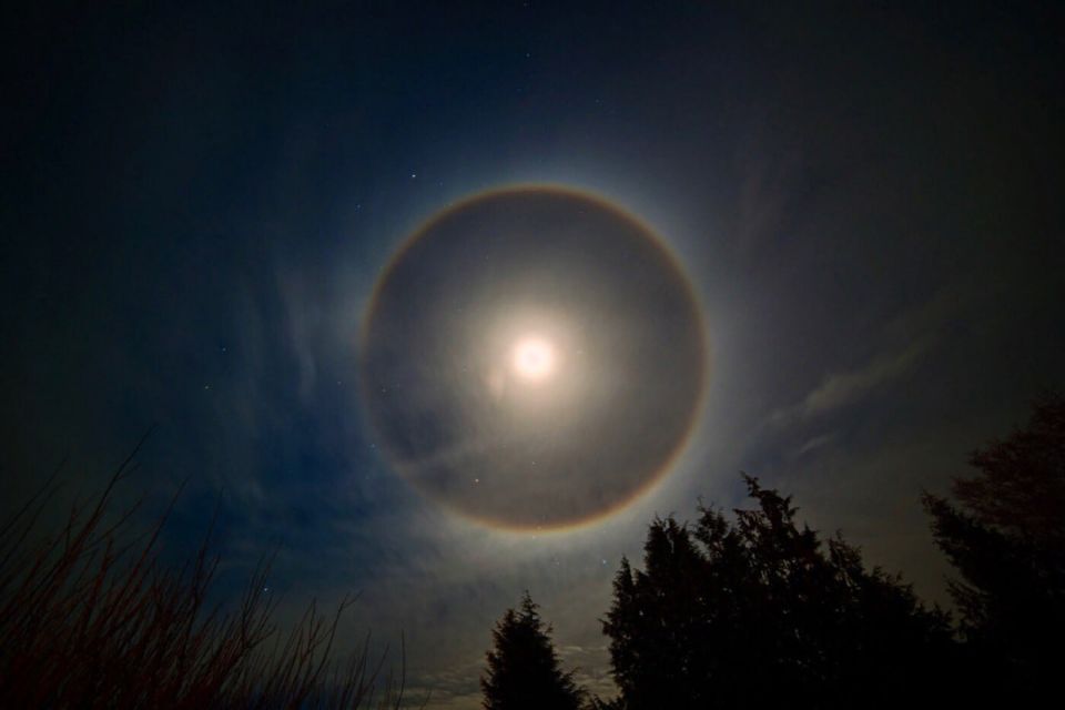 ������ ���� � ����������� ��������� ������