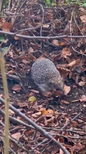 Спокойной ночи, Мариуполь!