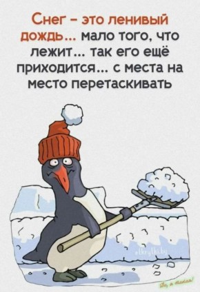 Минутка юмора. Мы в Telegram