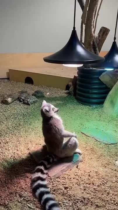 � ������ �����, ���������!