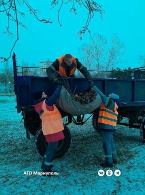 В Мариуполе коммунальщики продолжают обрезку зеленых насаждений
