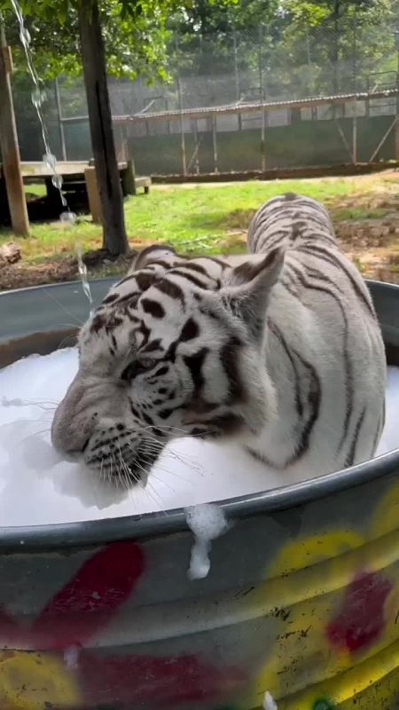 � ������ �����, ���������!