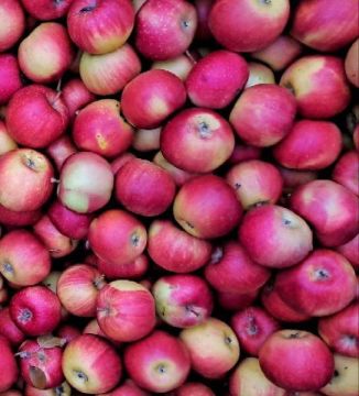 Еженедельная ярмарка в городе Мариуполь