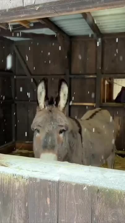 � ������ �����, ���������!