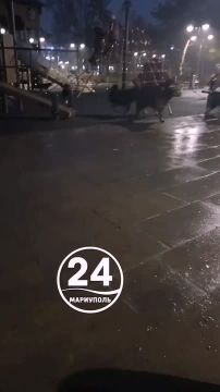 ����������� ���������� ����������� �������� ���� ��������� ����� � ������