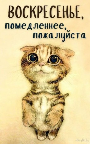 ������� �����. �� � Telegram