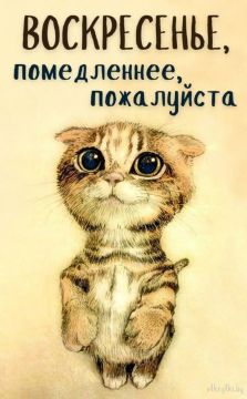 Минутка юмора. Мы в Telegram