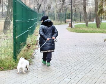 ������ ���� � ����� ������!