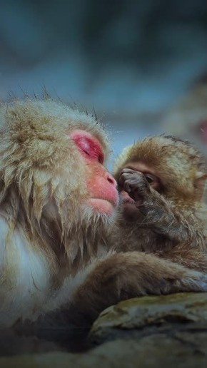 Спокойной ночи, Мариуполь!
