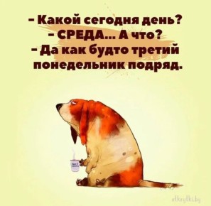 Минутка юмора. Мы в Telegram