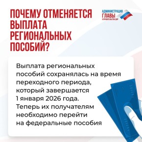 Чтобы получатели региональных выплат, отменяемых с 1 января, могли получать в новом году федеральные пособия, нужно обратиться в ОСФР по ДНР