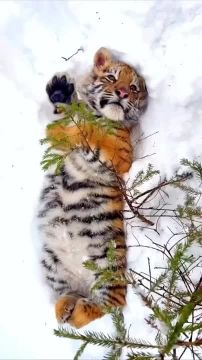 С добрым утром, Мариуполь!