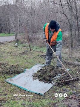 ������������� ������������� ���������� ������ �� ��������������� ������� ���