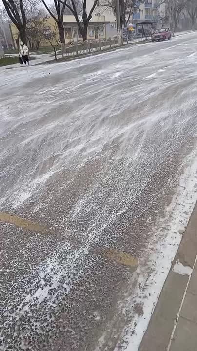 Поземка — безобидная разновидность метели, когда снег переносится ветром невысоко над землёй