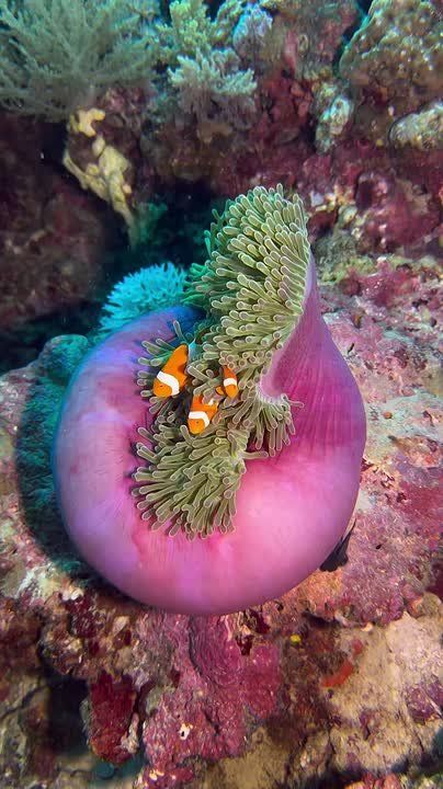 Спокойной ночи, Мариуполь!