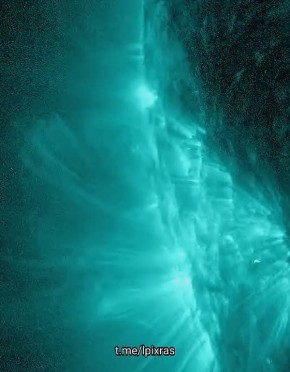 ����� ������� � 8 ������� ������� ��������� �� ������, �������� � ����������� ��������� ���������� ��� ���