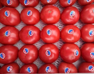 ������������� ������� � ������ ���������