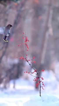 � ������ �����, ���������!