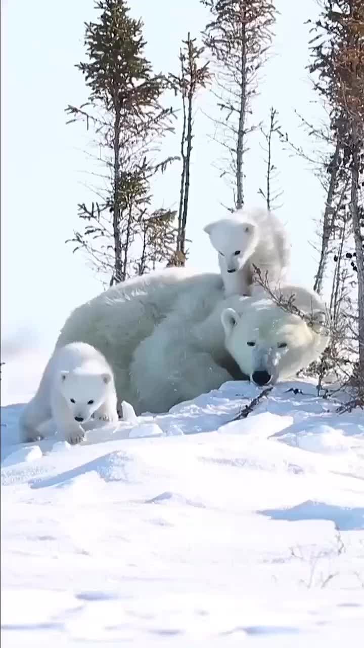 Спокойной ночи, Мариуполь!