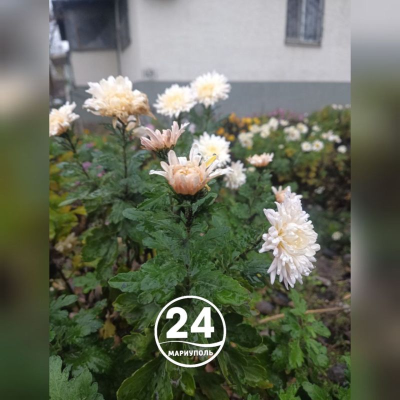 С добрым утром, Мариуполь!