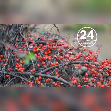 С добрым утром, Мариуполь!