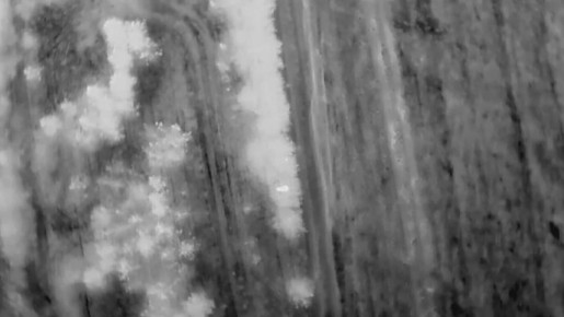 Александр Коц: Мощные кадры освобождения Родинского