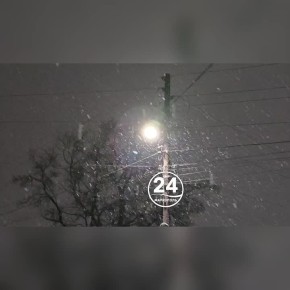 ��������� ����, ���������!