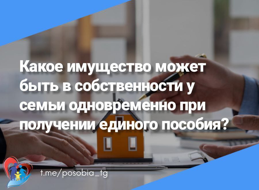 Какое имущество может быть в собственности у семьи одновременно при получении единого пособия: