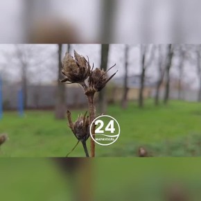 ������ ����, ���������!. �����������, ���������, ��������� ����� ����! ����� �� ����� ������, ��������� � ���������� ��� ����, ����� ����� � ����� ������� � �����