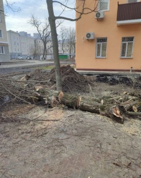 �������� ���� �����: ��������� ��� ������� �� � ���-�������