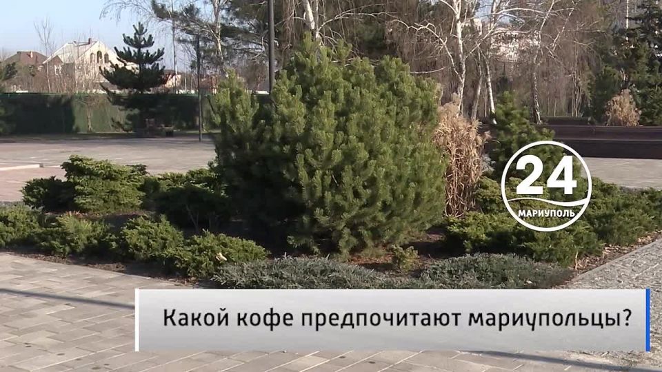 �������� ������ 17.01. ����� ��� ��������? ����� �� ����������� ���� � ����� ������������? �� ���������� ���� �������� ������ ����� � ���� �� ������� ������, � ���� ������� �������� ���������� �����������