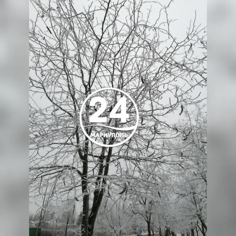 В Мариуполе - инеевые кружева: магия зимней красоты