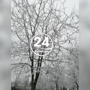 В Мариуполе - инеевые кружева: магия зимней красоты