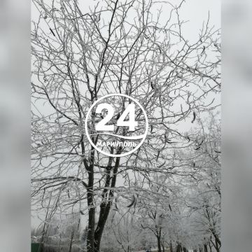 В Мариуполе - инеевые кружева: магия зимней красоты