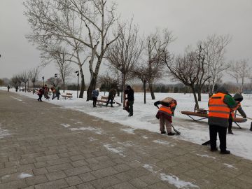 Зимний субботник в парке им. Н.А. Гурова: вместе — к уютному пространству!