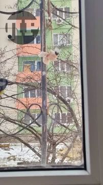 ������ �� ���������. �������� ������� ������������