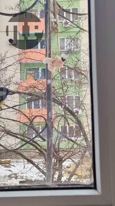 ������ �� ���������. �������� ������� ������������