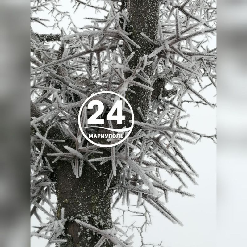 С добрым утром, Мариуполь!